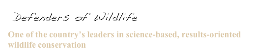  Defenders of Wildlife

One of the country’s leaders in science-based, results-oriented wildlife conservation